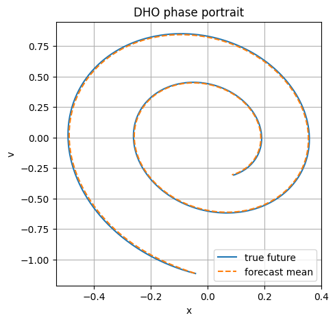 DHO phase forecast